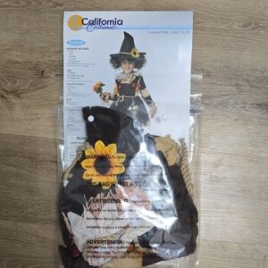 California Costumes Toddler Witch Outfit